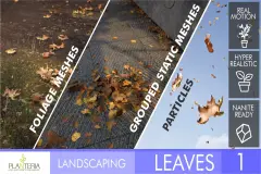 Landscaping Leaves