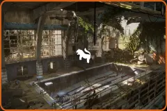 Abandoned Swimming Pool Environment ( Abandoned Building Pool Apocalyptic Swim )