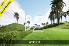 DZ Grasses - Cut Lawns, Sports Grounds and Meadows