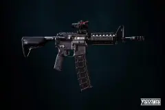 Custom AR-15 Style Rifle