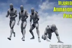 Injured Animation Pack