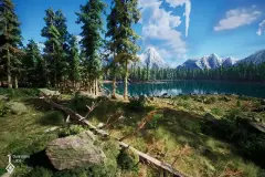 Norway Spruce Tree Pack, Picea Abies