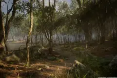 Leaf Tree Forest Biome