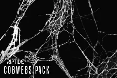 Cobwebs / Spider Webs Pack