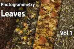 Leaves Vol. 1 - Scanned Materials