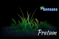 Pratum - 30 Stylized Grasses