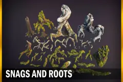Snags & Roots