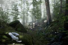 Forest - Environment Set