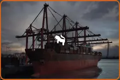 Container Port Environment ( Shipping Port Cargo Ship Harbor Dock Harbour )