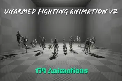 Unarmed Fighting Animation V2