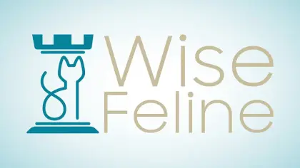 Wise Feline Influence Maps (environmental and spatial knowledge system)