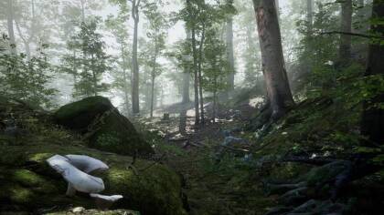 Forest - Environment Set