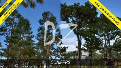DZ Trees - Conifers (Pines, Cypresses and Firs)